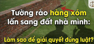 hàng xóm lấn sang đất nhà mình