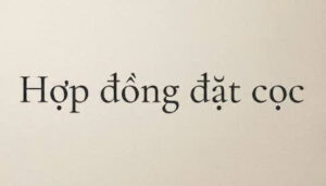 Đừng để mất tiền oan khi đặt cọc mua đất! Xem ngay 5 điều khoản cần có trong hợp đồng đặt cọc để bảo vệ quyền lợi tối đa cùng luật sư Việt Luật Group.