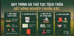 Hướng dẫn cách tách thửa đất nông nghiệp ở Gia Lai chi tiết nhất. Tìm hiểu điều kiện diện tích tối thiểu, thủ tục pháp lý và dịch vụ nhà đất uy tín từ Việt Luật Group