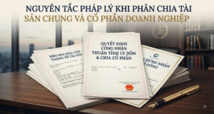Dưới góc nhìn của tư vấn luật hôn nhân gia đình, pháp luật Việt Nam (Luật Hôn nhân và Gia đình 2014) quy định rất rõ về việc chia tài sản vợ chồng, tuy nhiên việc áp dụng vào các khối tài sản lớn của doanh nhân khi thực hiện phân chia tài sản chung khi ly hôn đòi hỏi tư duy tố tụng cực kỳ sắc bén