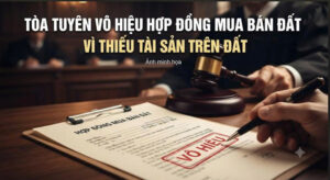 Phân tích án lệ tòa tuyên vô hiệu hợp đồng mua bán đất vì hợp đồng không ghi chuyển nhượng tài sản trên đất và nghĩa vụ bồi thường thiệt hại do chênh lệch giá đất từ Việt Luật Group