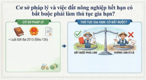 Theo quy định của Luật Đất đai hiện hành, thời hạn giao đất, công nhận quyền sử dụng đất nông nghiệp đối với hộ gia đình, cá nhân trực tiếp sản xuất nông nghiệp (như đất trồng cây hàng năm, đất trồng cây lâu năm, đất nuôi trồng thủy sản, đất làm muối) thông thường là 50 năm. Khi hết thời hạn này, chế độ pháp lý được thiết kế theo hướng cởi mở, bảo vệ tối đa quyền lợi của người lao động trực tiếp